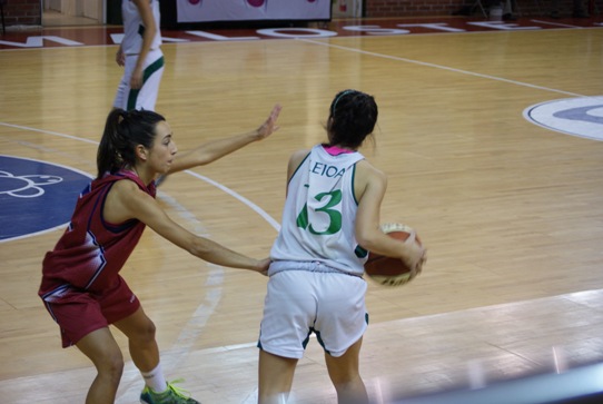 SONY DSC